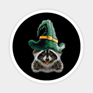 Raccoon Halloween Magnet